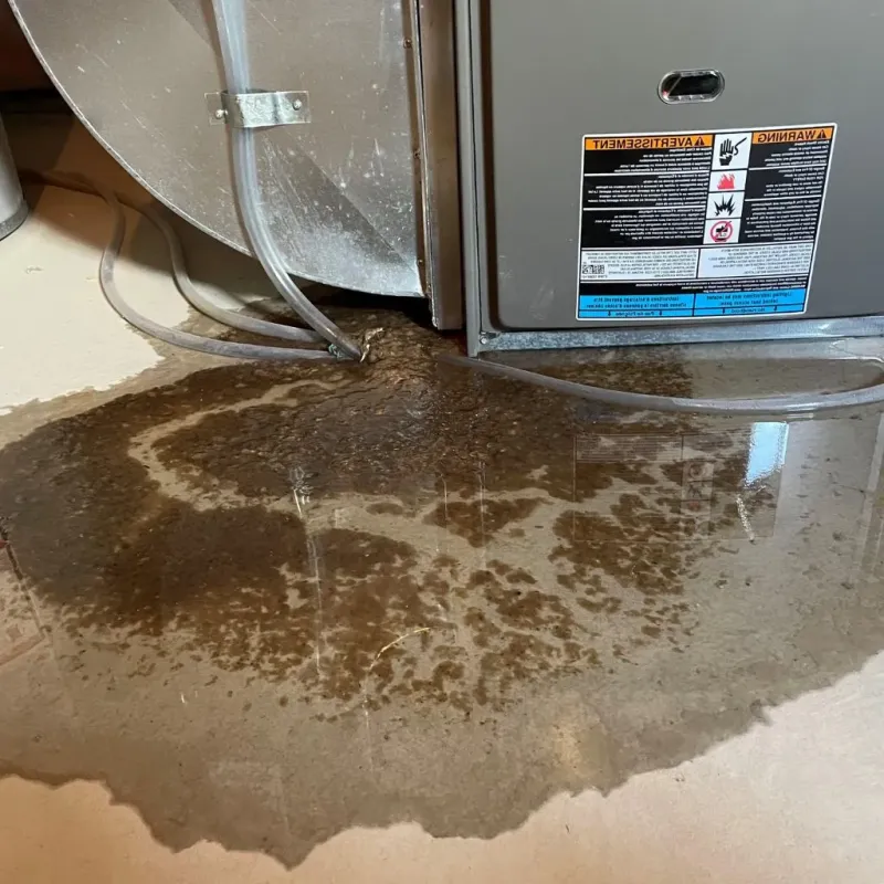 Pipe Burst and Leak Restoration in Uintah, UT