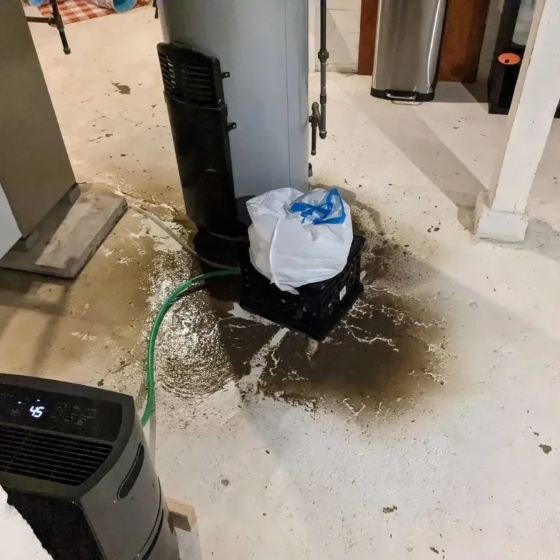 Sewage Backup Cleanup Service in Uintah, UT